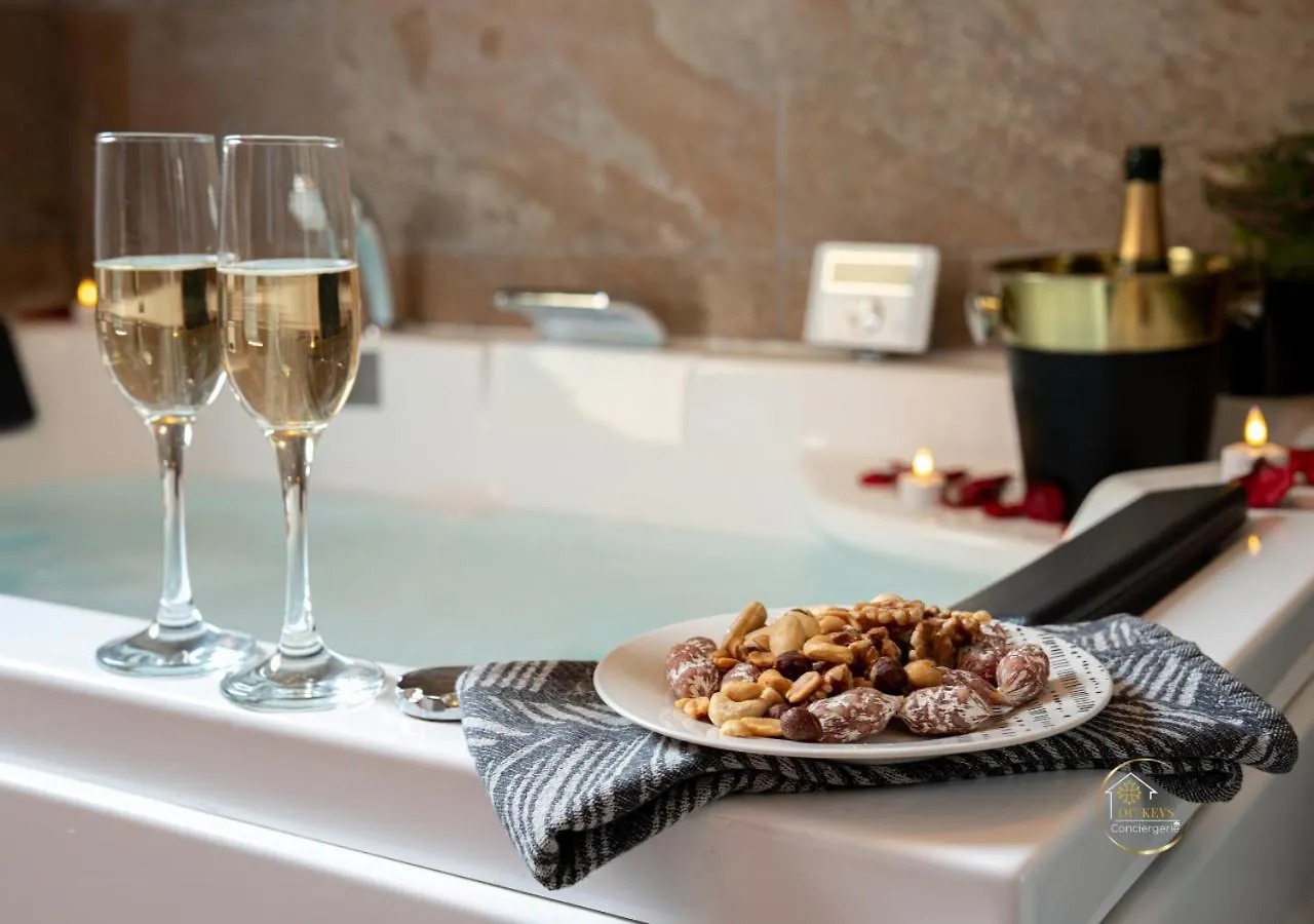 L'Ecrin D'Albi - Love Room - 1 Chambre 0*, Albi