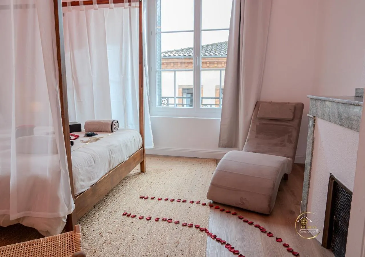 Apartment L'Ecrin D'Albi - Love Room - 1 Chambre France