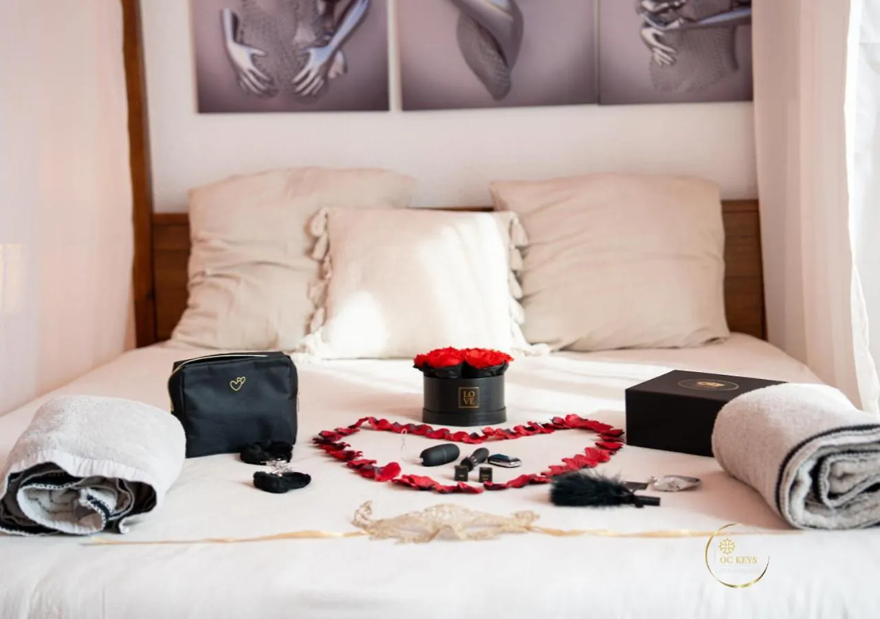 L'Ecrin D'Albi - Love Room - 1 Chambre 0*, Albi